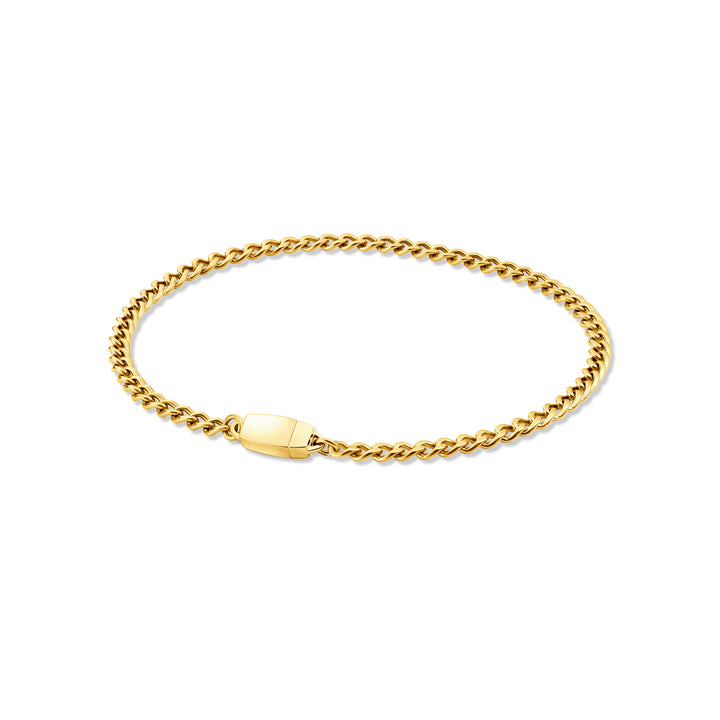 Titanium Chain Anklet with Mini Locking Clasp
