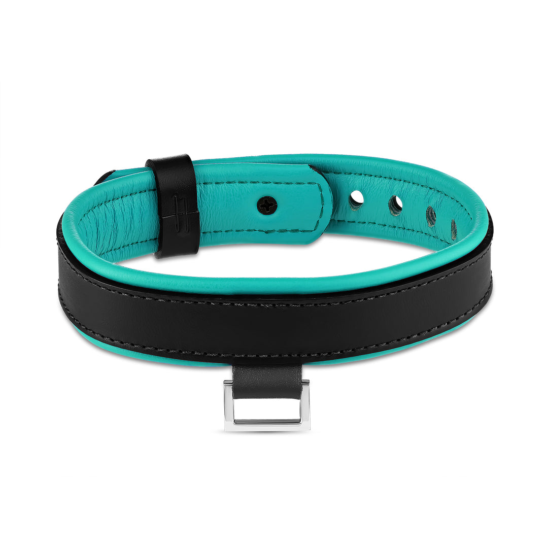 Leather Collar with Horizontal Ring