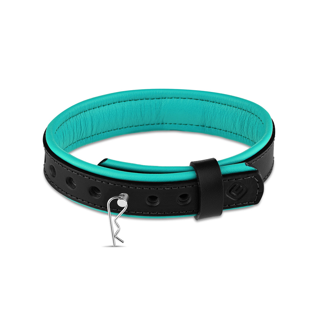 Leather Collar with Horizontal Ring