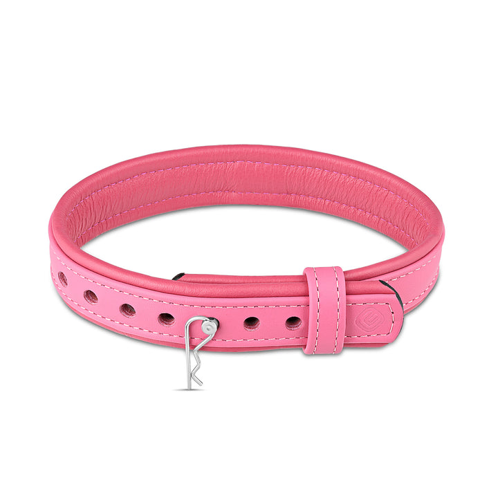 Leather Collar with Horizontal Ring