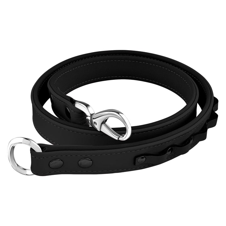 Convertible Belt/Leash
