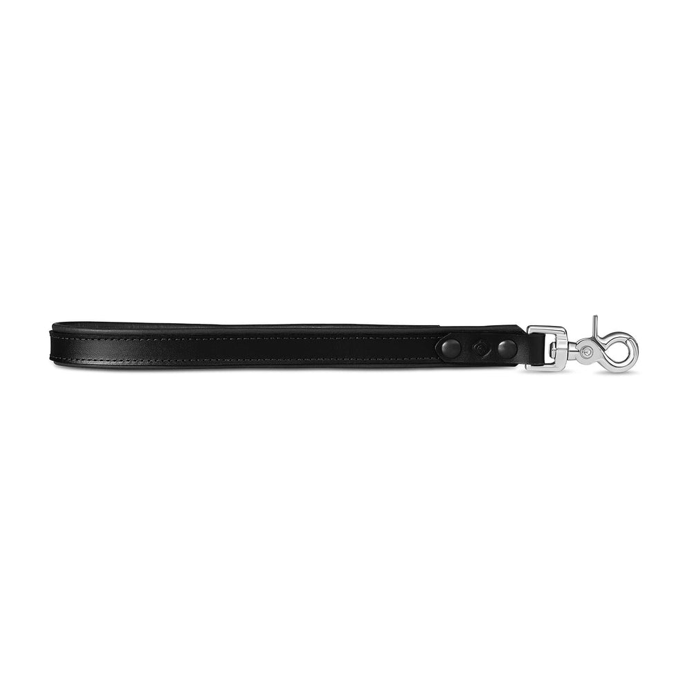 Leather Lead Leash