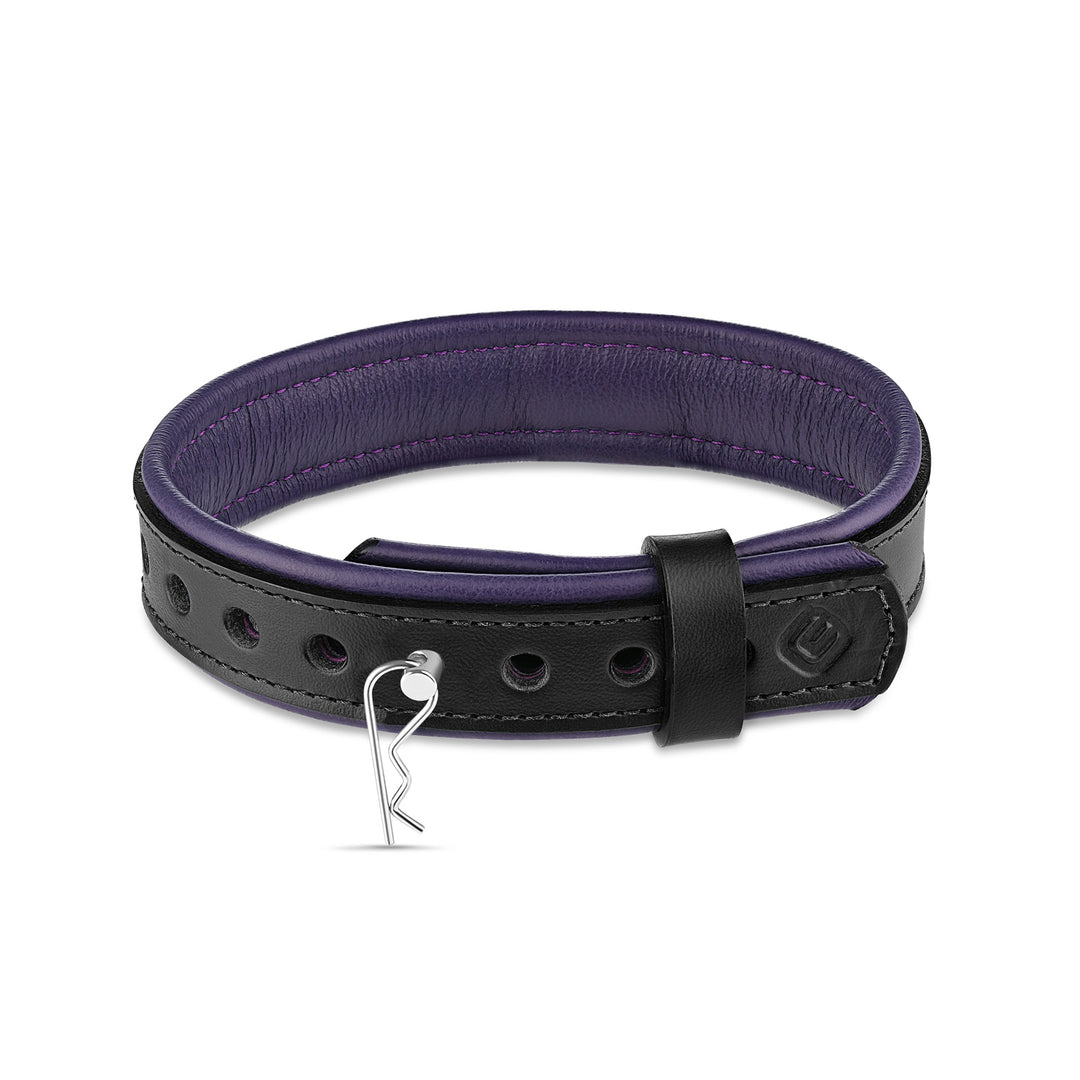 Leather Collar with Horizontal Ring