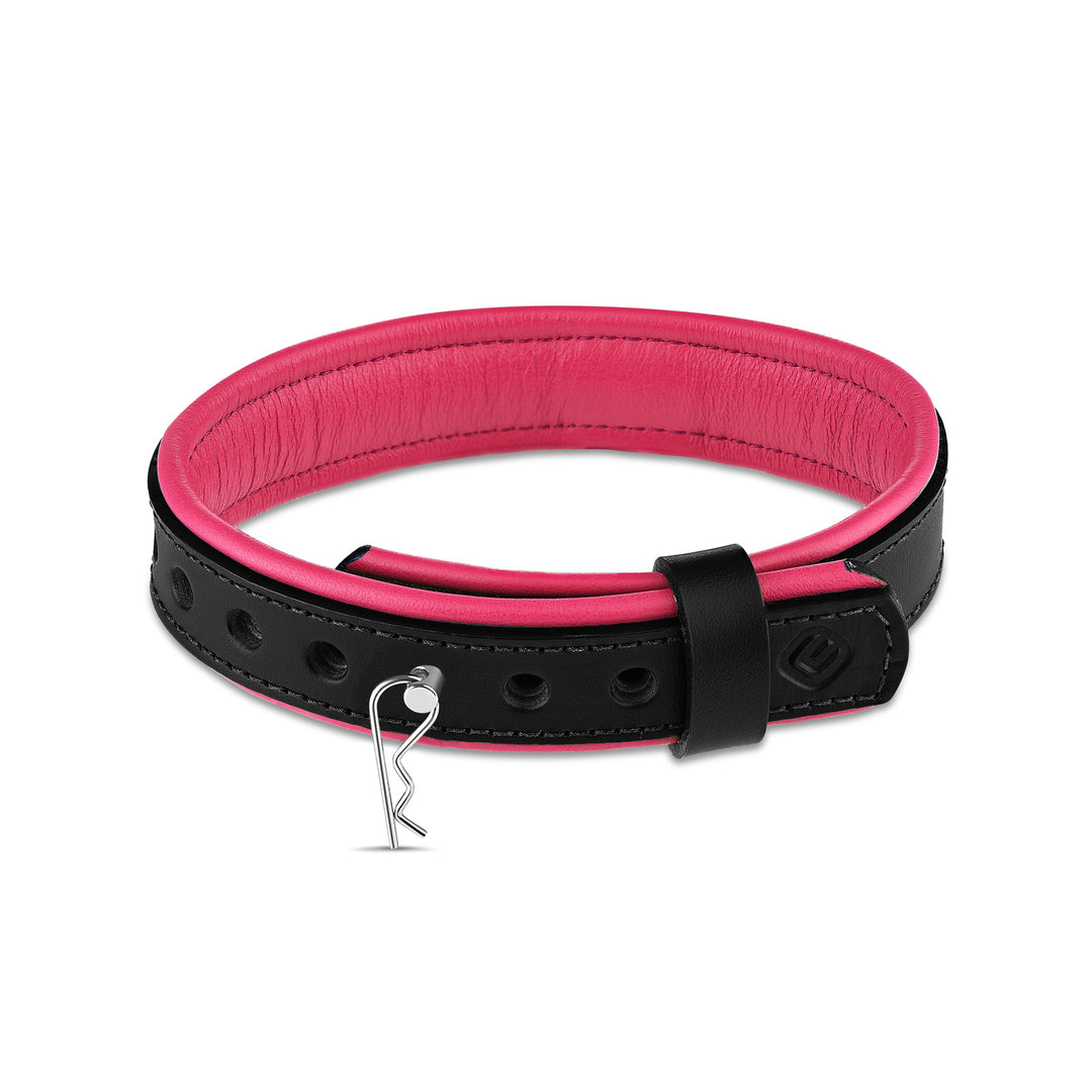 Leather Collar with Horizontal Ring