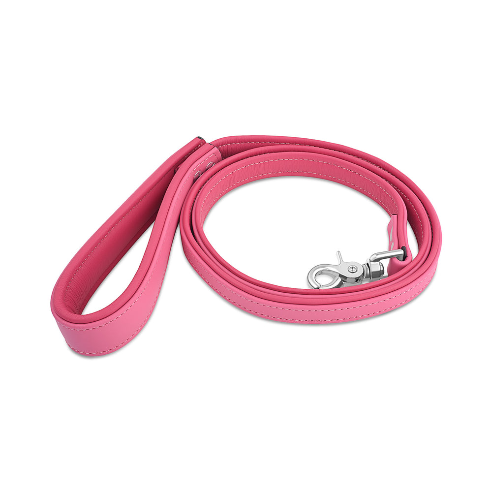 Leather Leash with Deluxe Handle