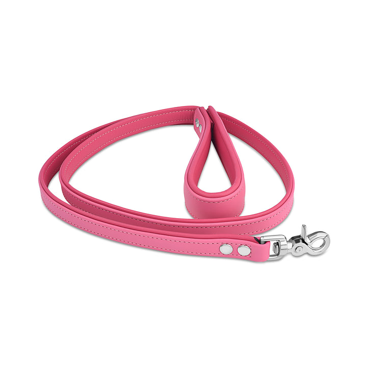 Leather Leash with Deluxe Handle